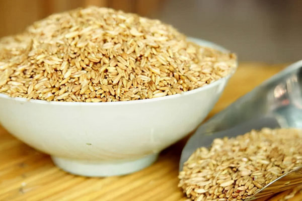 燕麦怎么吃减肥效果最好？