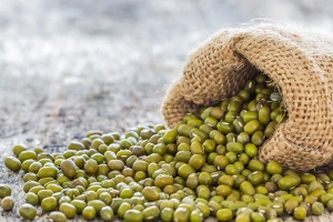 绿豆的营养价值及功效